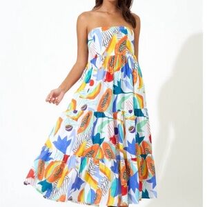 Oliphant Strapless Multicolor Dress